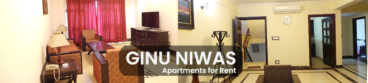 GinuNiwas - Apartment in Kathmandu